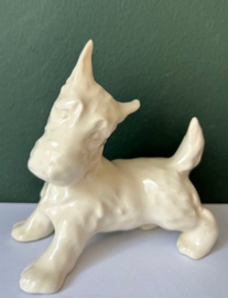 Etha Lempke terriër