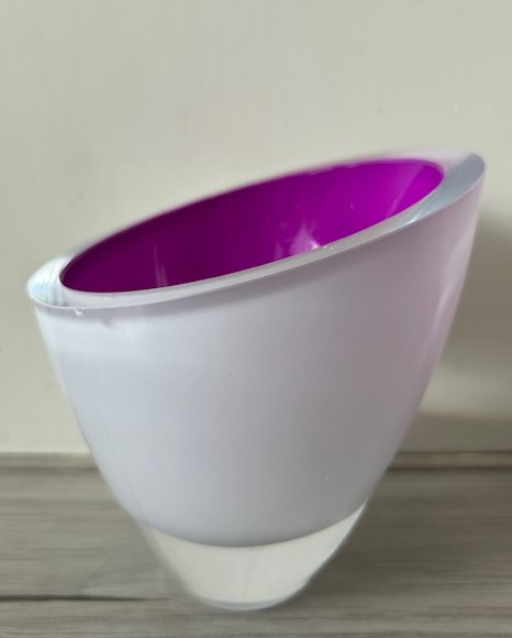 Carina Riezebos Lushes Cup paars