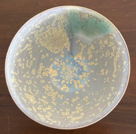 Liselore chawan Sakura