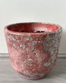 Zaalberg bloempotje roze-rood