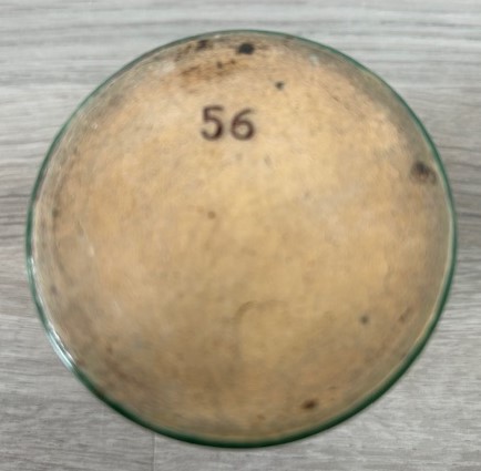 Pieter Groeneveldt vaasje groen no. 56