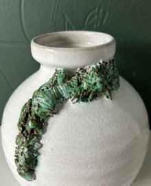 Freek Berends bolvaasje