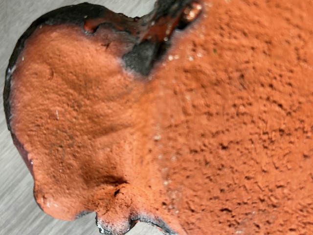 Wandsculptuur bison J. Cock