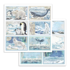 Stamperia - Arctic Antarctic - Paper - 30,5 x 30,5 cm. - Cards