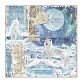 Stamperia - Arctic Antarctic - Paper - 30,5 x 30,5 cm. - Wolf