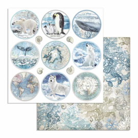 Stamperia - Arctic Antarctic - Paper - 30,5 x 30,5 cm. - Rounds