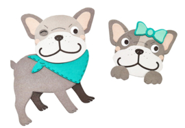 CCL-FR-CD172 - Buddy Friendz nr.172