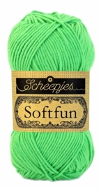 Scheepjeswol Softfun 2517