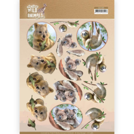 3D Cutting sheet - Amy Design - Wild Animals Outback - Koala