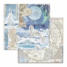 Stamperia - Arctic Antarctic - Paper - 30,5 x 30,5 cm. - Wolf