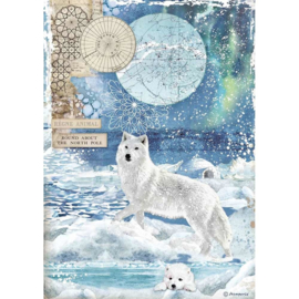 Stamperia - Arctic Antarctic - Rice Paper - A4 - Wolf