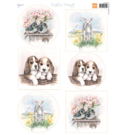 MB0184  Mattie  - Mattie's mooiste: Spring