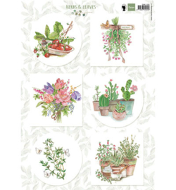 Marianne Design EWK1255 A4-knipvel Herbs & leaves 2