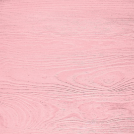 Paper Favourites - Wood Grain - 30,5 x 30,5 cm