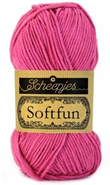 Scheepjeswol Softfun 2495