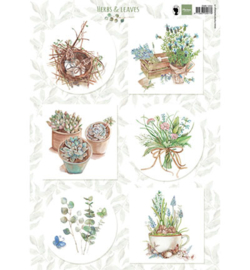 Marianne Design EWK1254 A4-knipvel Herbs & leaves 1