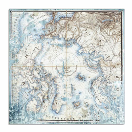 Stamperia - Arctic Antarctic - Paper - 30,5 x 30,5 cm. - Arctic