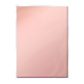 Tonic Studios Spiegelkarton A4  - Mat - Burnished Rose