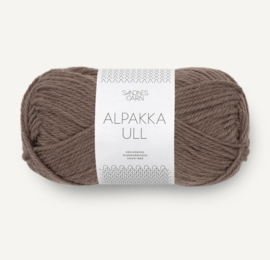 Alpakka Ull 3161 eikenott