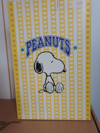 Peanuts / Snoopy - sfeerlamp Snoopy met transfo