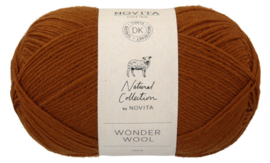 Wonder Wool DK 663 bolete