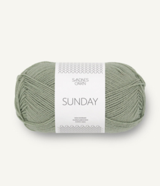 Sunday 8521 dusty light green