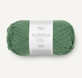 Alpakka Ull 8062 gronn myrt