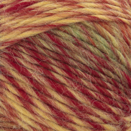 Runo 800 fall coulours