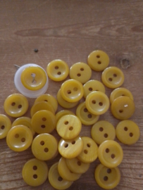 Knopen 17 mm - tube met 32 stuks