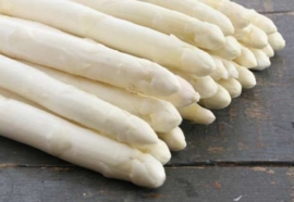 Aspergeplanten voor witte asperge F1 Hybride onze keuze voor op uw grond artikel Z