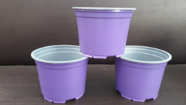 12cm bloempotten paars/lavendel