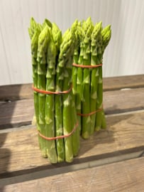 Xenolim anthocyaan vrije groene asperge  maat L F1 Hybride