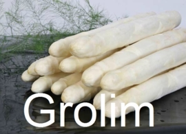 Grolim L aspergeplanten voor witte asperge F1