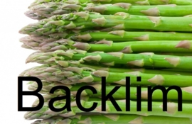 Backlim aspergeplanten voor groene asperge F1 Hybride
