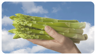 Xenolim - Anthocyaanvrije groene asperge