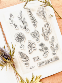 Clear stamps - Herbarium