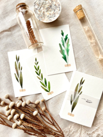 Notitiekaartjes - Herbarium