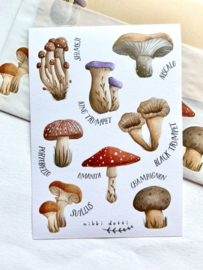 Sticker sheet - Mushrooms