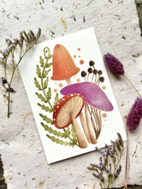 Ansichtkaart Mushrooms