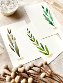 Notitiekaartjes - Herbarium