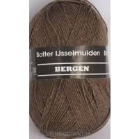 Bergen bruin 03