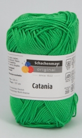 Catania 389 lead green