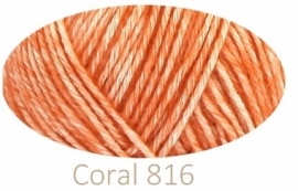 Coral 816