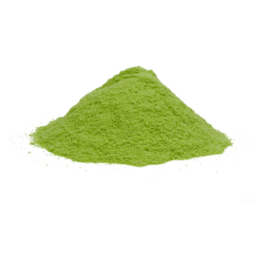 Premium Kotobuki Matcha