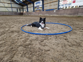 Cirkel voor Hooper parcours 2m