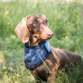 Cool on track Bandana L