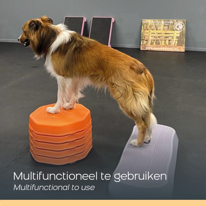 Wonder Core – Aerobic Mini step