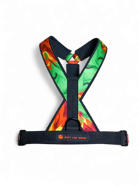 Softshell Sport Y tuig Reggae