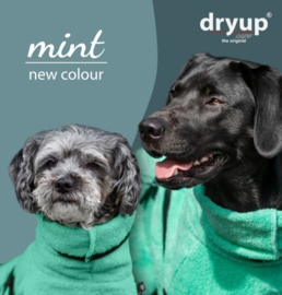 Dryup Mint 35cm