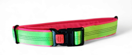 Halsband 35 tot 50cm groen/roze
